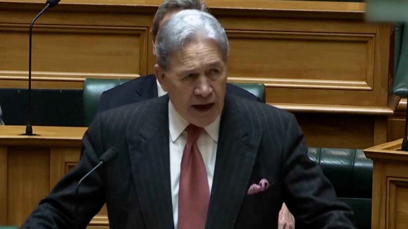 ‘Go back to your own country’: NZ foreign minister faces backlash