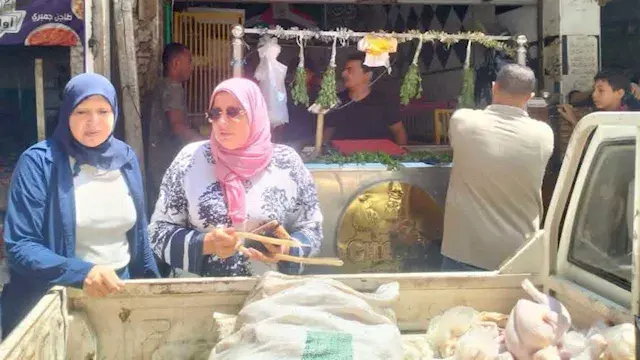 "خدعة تحت الجلد".. ضبط دواجن مُحقنة ولحوم فاسدة فى قويسنا -صور