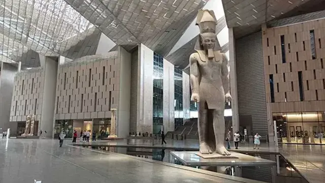 رئيس قطاع المتاحف: 52 نشاطًا تدريبيًا و18 معرضًا مؤقتًا خلال الصيف
