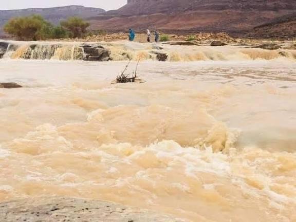 غرق 4 أطفال في بركة مياه جنوب موريتانيا