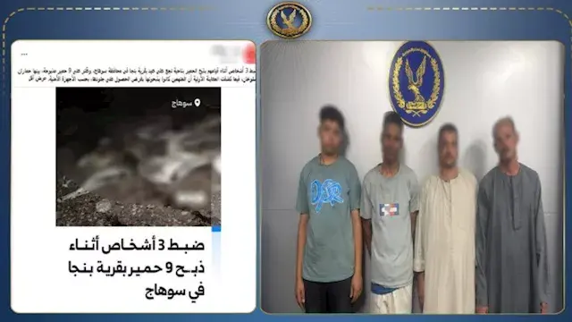 للحصول على جلودها.. ضبط تشكيل عصابي تخصص في ذبح "الحمير" بسوهاج