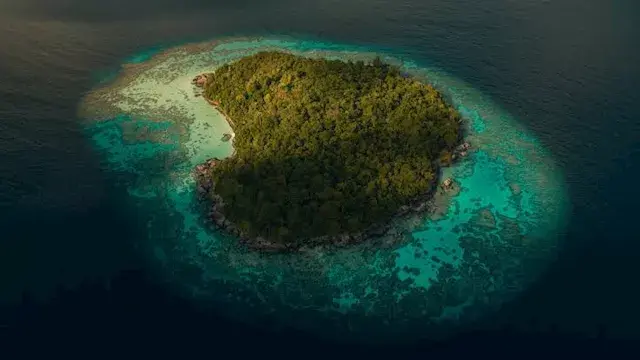 10 صور لـ جزر حول العالم ممنوع على البشر زيارتها