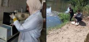 التنمية المحلية والبيئة: 77 حملة للتفتيش على المنشآت الصناعية والطبية والمجازر ومدافن المخلفات