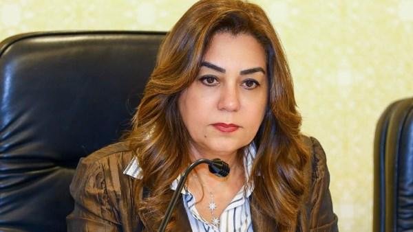 تشغيل خدمة تراخيص المحال العامة عبر منصة مصر ..تفاصيل المرور الميداني على 4 أحياء ومراكز بالغربية.. التنمية المحلية: نسعي للتميز  في جودة الخدمات الرقمية
