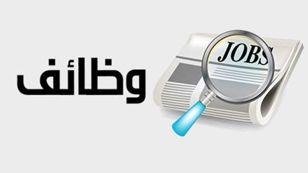 وظائف وزارة النقل 2026 .. تعاقد فوري لسائقين برخصة درجة أولى ومزايا متعددة