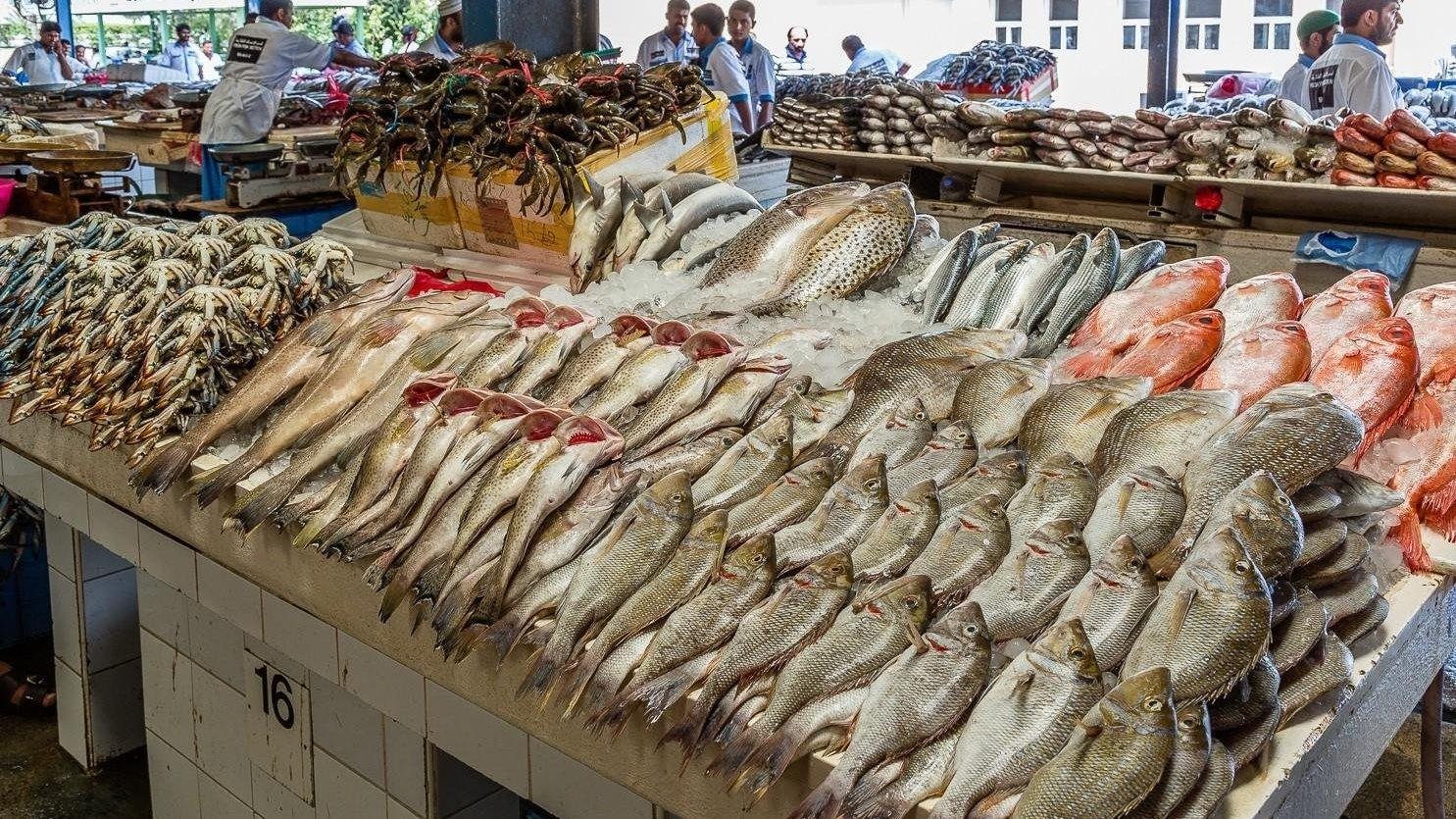 أسعار الأسماك اليوم .. ارتفاع كبير في سعر الجمبري .. والبلطي يبدأ من 70 جنيهًا للكيلو