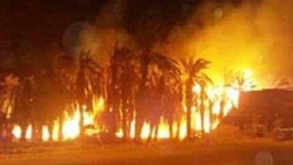حريق يلتهم عددا من أشجار النخيل بقرية الحلة بالأقصر
