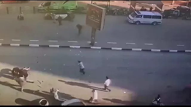 سائق متهور يدهس سيدة وموظفاً فى شارع بطل السلام بالفيوم -صور
