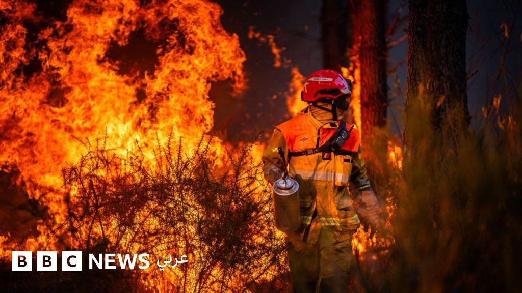 اعتقال المئات على خلفية حرائق الغابات في فرنسا