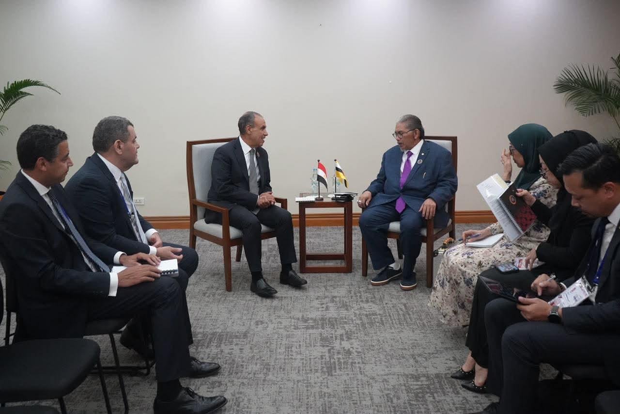 وزير الخارجية أهمية تفعيل الأطر والآليات المؤسسية للتعاون الثنائي بين مصر وبروناي
