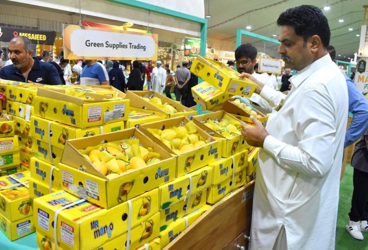 3rd Hamba Pakistani Mango Exhibition concludes
