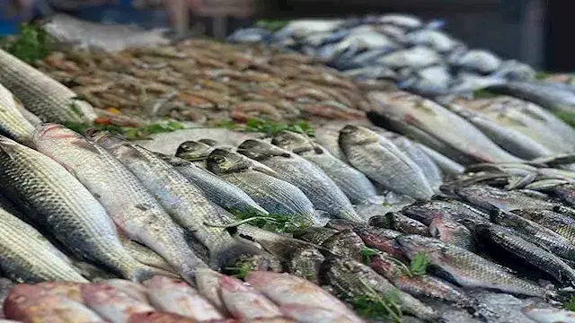 أسعار الأسماك والمأكولات البحرية في سوق العبور اليوم.. 77 جنيها لكيلو البلطي