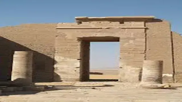 أوراق عنب وخشخاش من الذهب الخا...