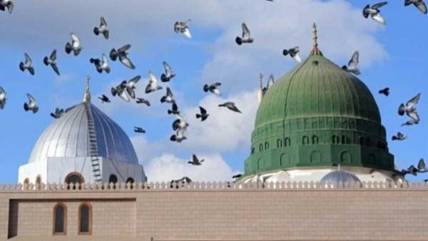 كيف أحاطت العناية الإلهية حياة النبي صلى الله عليه وآله وسلم؟.. الإفتاء تجيب