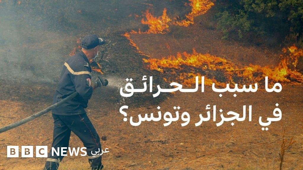 حرائق الجزائر وتونس... فعل فاعل أم تغير مناخي؟