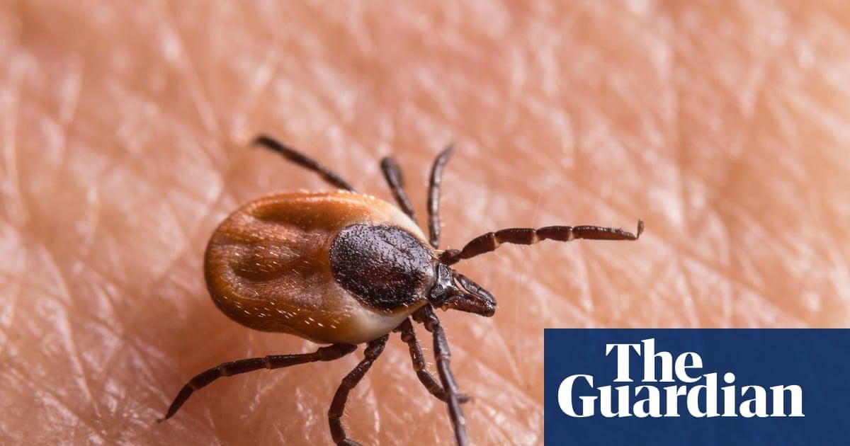 Tick bites are on the rise in the US and UK. Here’s how to protect yourself