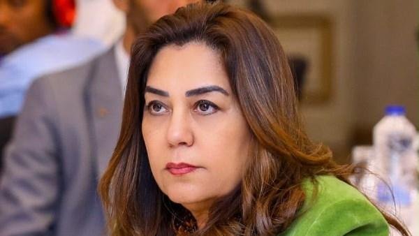 وزيرة التنمية المحلية والبيئة : الانتهاء  من المخطط التفصيلي لمدينتي المنيا ويوسف الصديق لتعزيز التنمية العمرانية وضبط النمو الحضري بالمحافظات