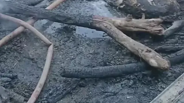 "تفحمت بالكامل".. حريق يلتهم 6 رؤوس ماشية وأغنامًا وطيورًا في طوخ (صور)