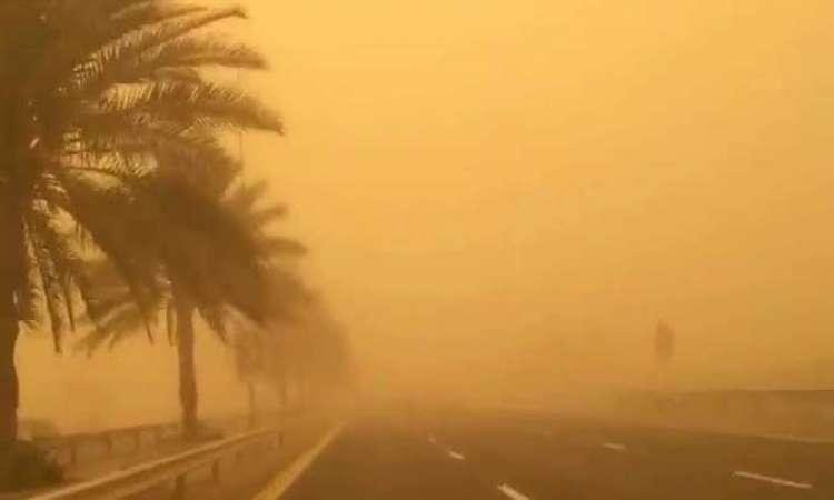 نيويورك تايمز تكشف حصيلة عاصفة إنديانا