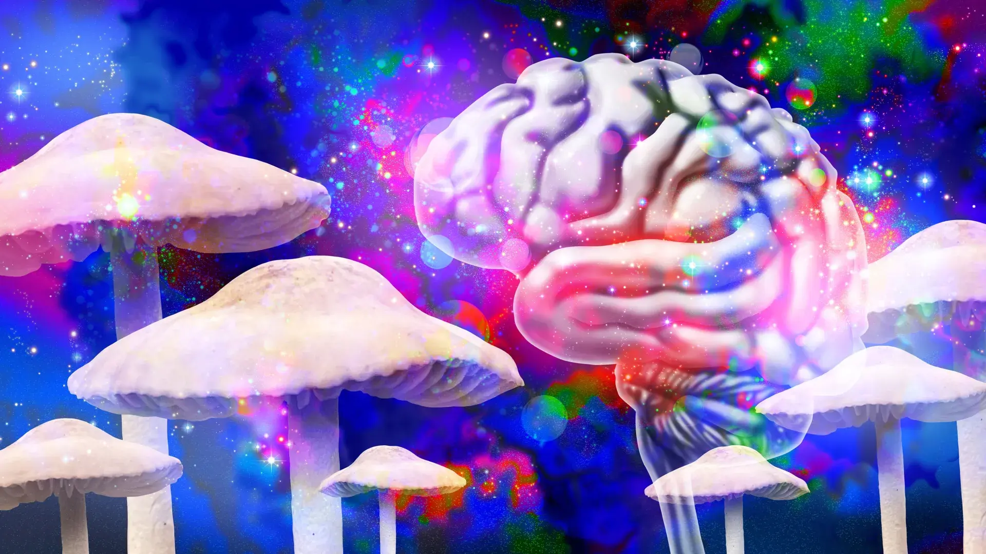 Magic mushrooms may reshape the brain long after the trip ends