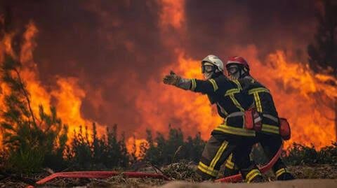 قوة من الجيش الألماني تواصل تقديم الدعم في مكافحة الحرائق في فرنسا