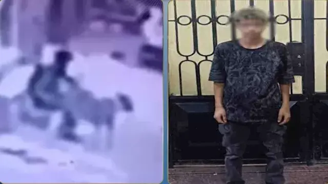 بعد فيديو أثار الغضب.. ضبط الم...