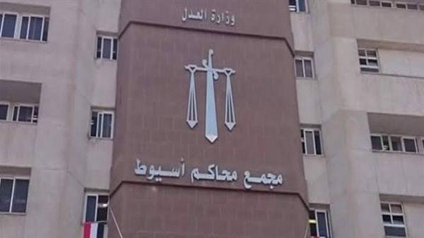 طاردوا المجني عليهم بسيارة.. إحالة أوراق ابني عم للمفتي قتلا شخصا وأصابا اثنين بأسيوط