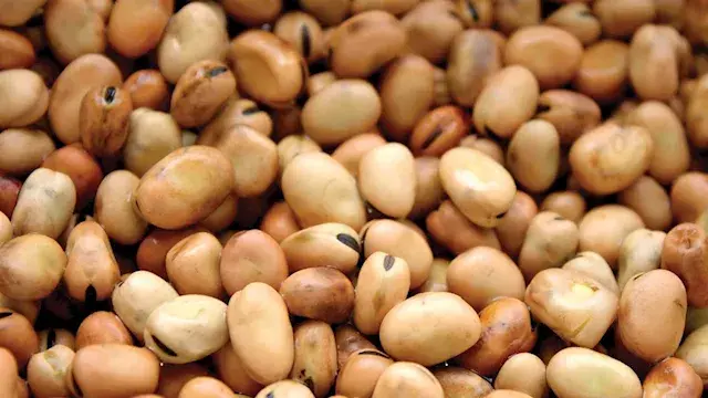 ارتفاع الفول والدقيق والزيت والدواجن بالأسواق اليوم الأحد (موقع رسمي)