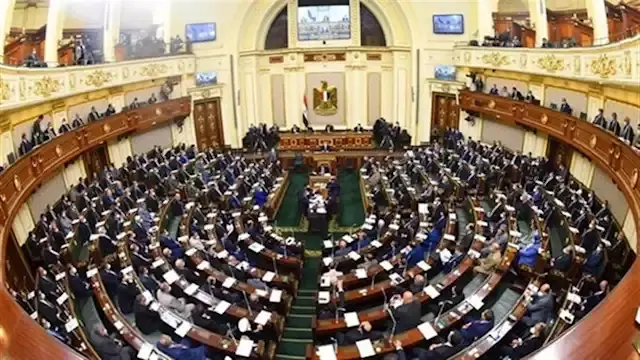 اول تحرك برلماني بعد واقعة منع  دخول العلم المصري المناطق الأثرية