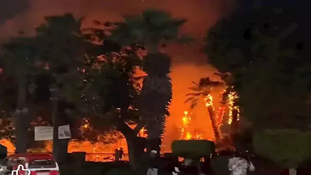 الحماية المدنية تنجح في السيطرة على حريق اندلع بأشجار كورنيش حلوان- صور