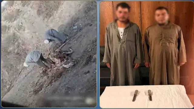 صناعة طبول من جثة نافقة.. الأمن يكشف كواليس فيديو "سلخ حمار" بالبحيرة