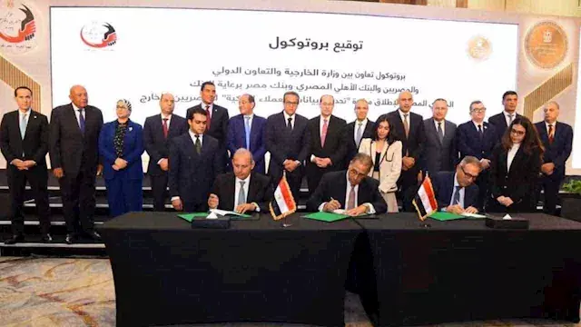 البنك المركزي ووزارة الخارجية يطلقان مبادرة "حدث بياناتك في مصر" للمصريين بالخارج