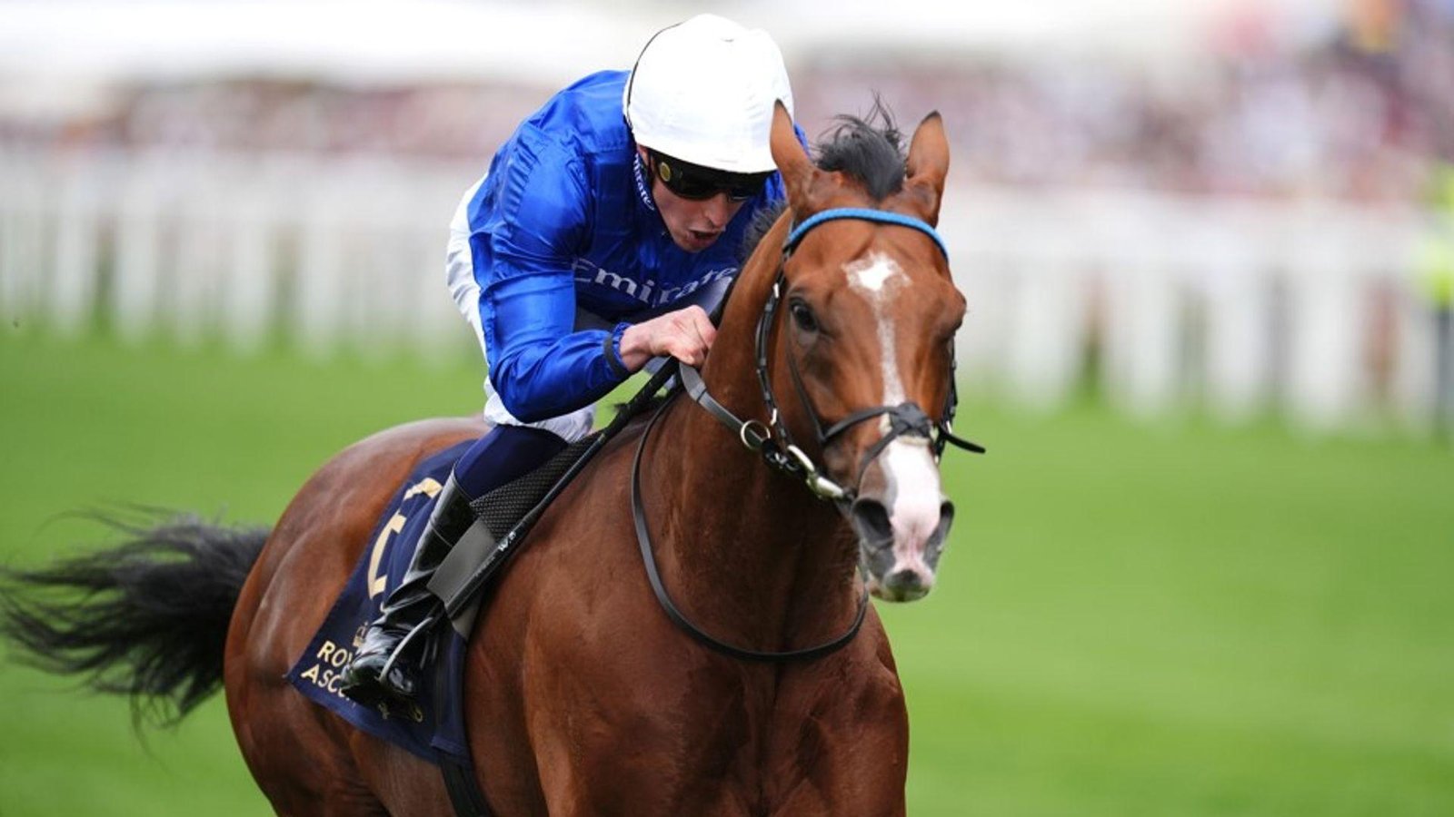 Ombudsman's half-sister makes debut at Wolverhampton