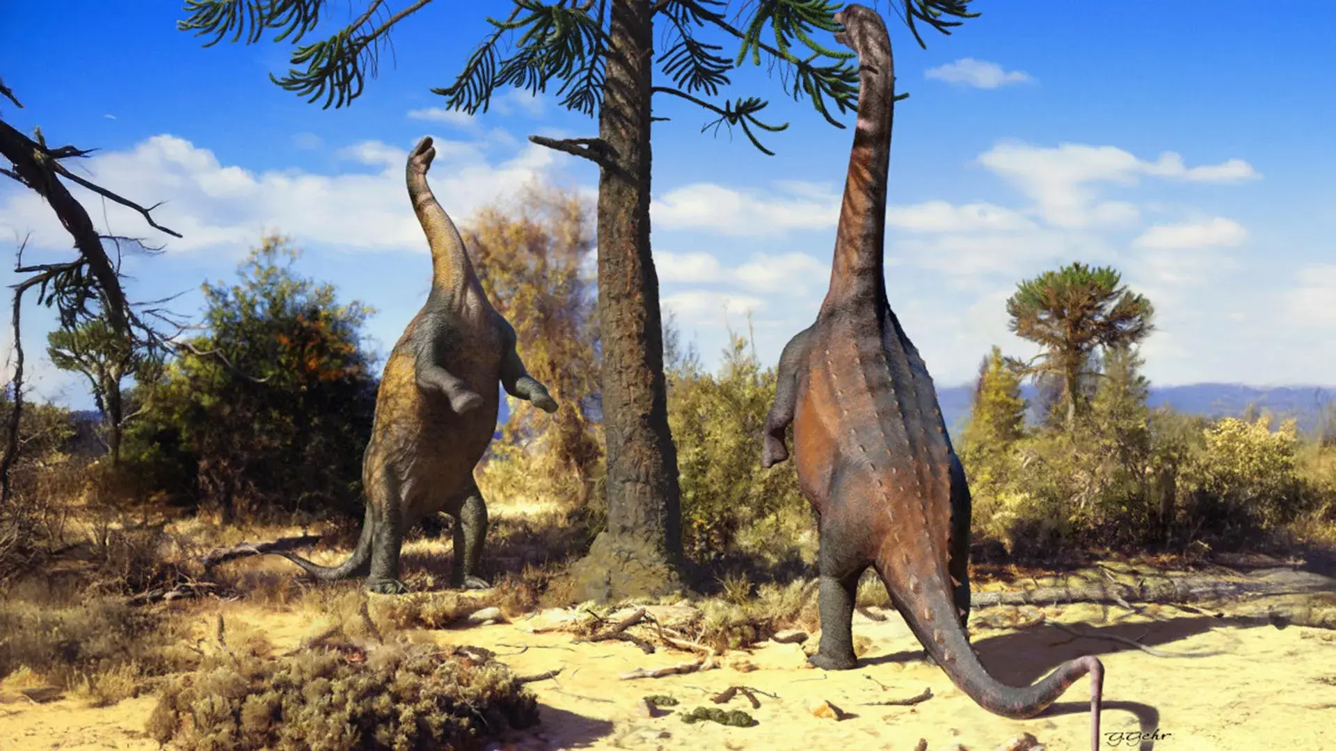Some dinosaurs could rise like giants until they grew too big
