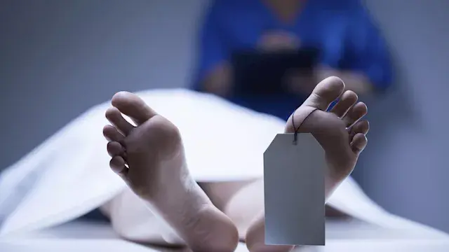 بسبب مصاريف مدرسة بنتهم.. قصة مقتل عامل بنها على يد زوجته أمام أبنائه