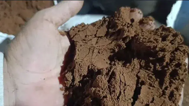 ضبط 630 كجم من بن مُصنّع من نو...