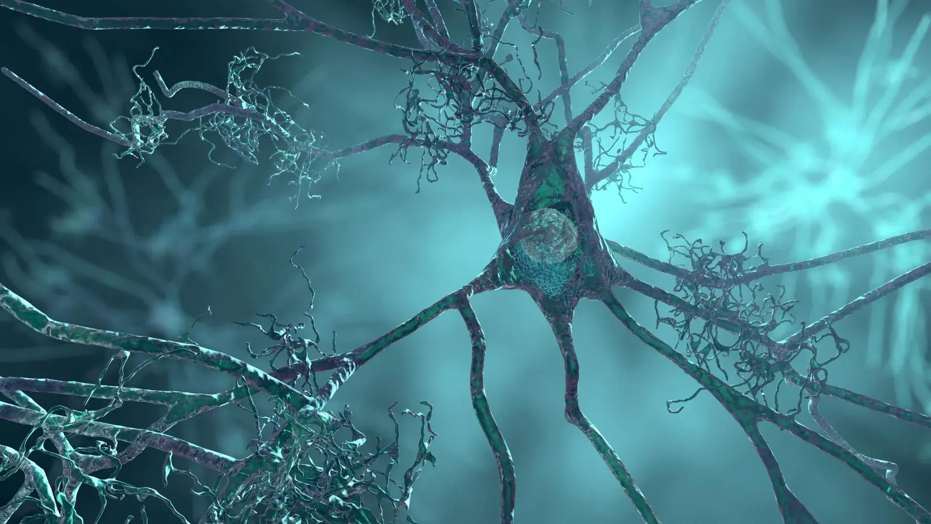 A major Alzheimer’s risk gene may shrink brain cells years before symptoms