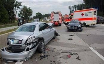 ألمانيا: حشرة دبور تتسبب بحادث مروري وأضرار بقيمة عشرة آلاف يورو