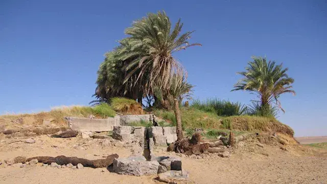 عزيب الحفر.. حكاية واحة خبأت الرحالة من غضب الصحراء البيضاء